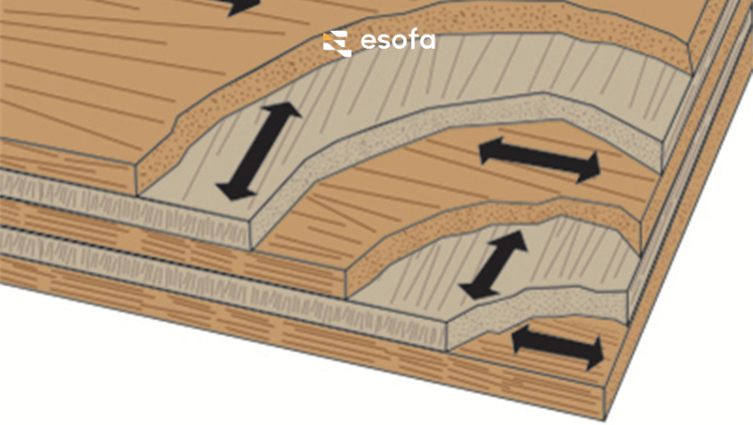 Cấu tạo kỹ thuật của plywood