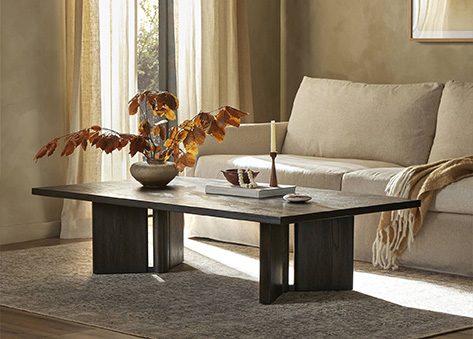 Bàn trà trung tâm phòng khách EB07